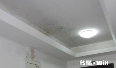 84消毒液怎么除墙发霉 84消毒液可以擦墙壁吗