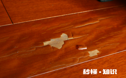地板清漆起泡了怎么办 地板清漆怎么有很多水泡