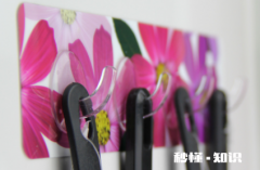 贴在墙上的无痕贴怎么去除 无痕贴可以贴在粉刷的墙上吗