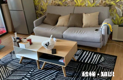 茶几垫和沙发垫颜色能接近吗 黑色的茶几用啥颜色地毯