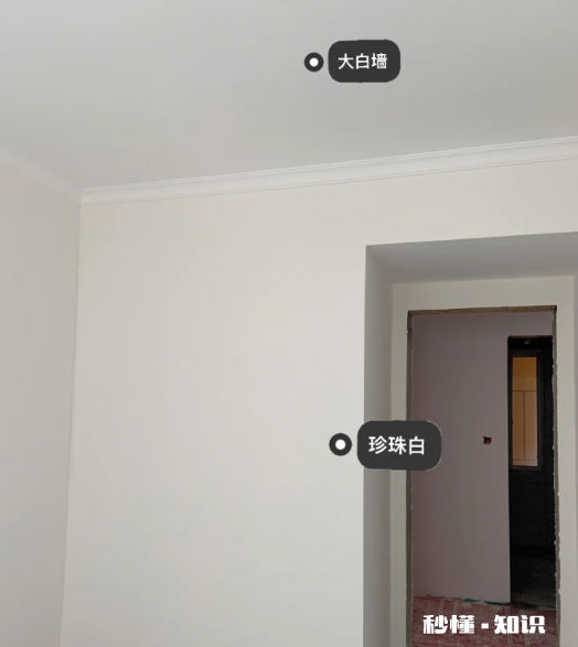 立邦珍珠白是暖白还是冷白 立邦珍珠白是现场调漆吗