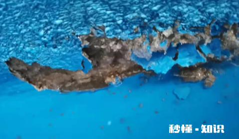 补漏防水胶气味重有毒吗 补漏防水胶多久能干