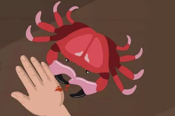 苹果和牛奶可以一起吃吗 苹果不能和什么一起吃