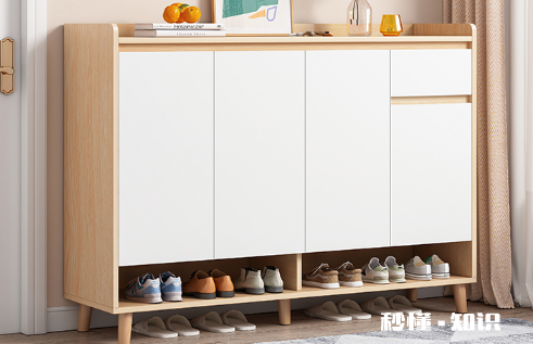 深度300的鞋柜能放43码的鞋吗 鞋柜深度300和350哪个好