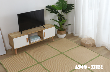 榻榻米草垫怎么清理 榻榻米草垫是什么草