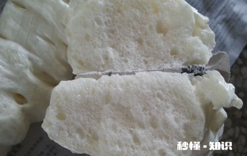 发泡胶能防水堵漏吗 发泡胶里的甲醛多久能挥发完