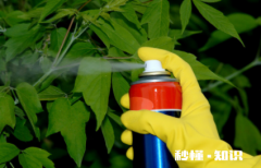 房间喷杀虫剂后衣物可以穿吗 喷了杀虫剂要闷多久