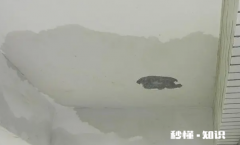 阳台有水会漏到楼下吗 阳台也需要做防水吗