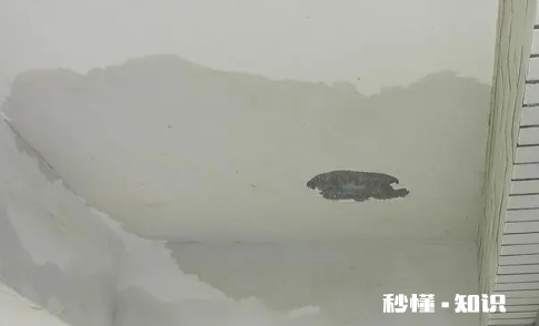 阳台有水会漏到楼下吗 阳台也需要做防水吗