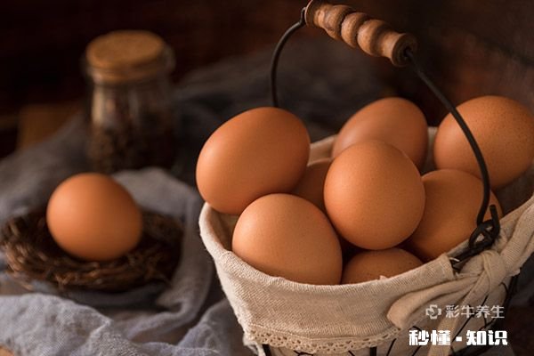 十种隔夜菜不能吃 哪些隔夜菜不能吃