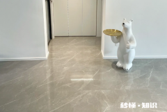 瓷砖通铺是全屋只用一种砖吗 瓷砖通铺是从大门口开始好看吗