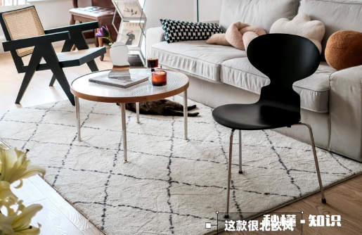 客厅浅灰好看还是米黄好看 客厅颜色是暖色用什么地毯好看