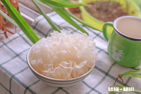 白木耳隔夜可以吃吗 白木耳的功效与作用