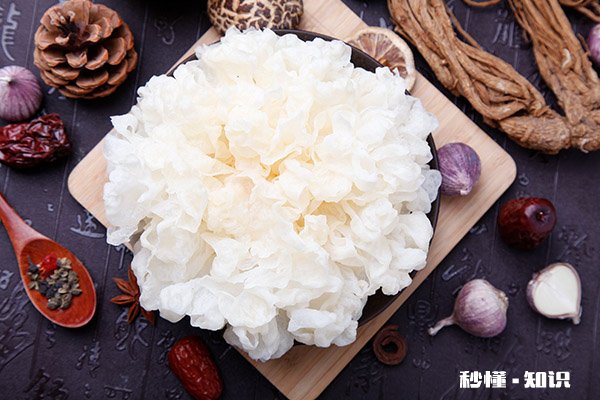 白木耳隔夜可以吃吗 白木耳的功效与作用