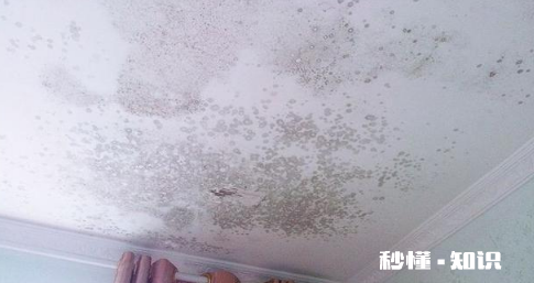 天花板发霉是楼上漏水吗 客厅天花板有霉点是怎么来的