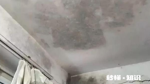 天花板发霉是楼上漏水吗 客厅天花板有霉点是怎么来的
