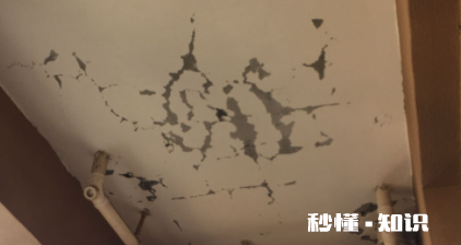 楼顶鼓包怎么引起的 顶楼房顶鼓包凸起怎么办