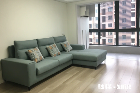 现在不流行贵妃沙发了吗2022 沙发贵妃能改成不是贵妃的吗