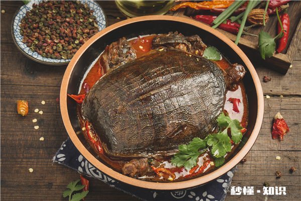 孕妇绝对不能吃的食物 哪些食物是孕妇绝对不能吃的