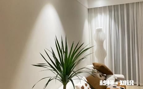 房子一边住人一边刷墙可以吗 只刷白墙3天可以入住吗