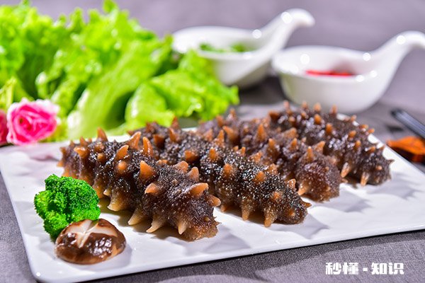 海参什么人不能吃 海参不适合哪些人吃