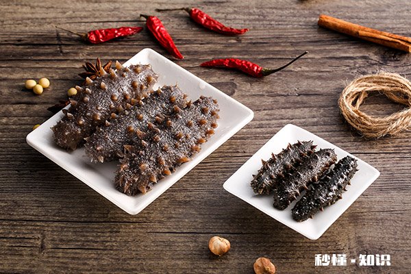 海参什么人不能吃 海参不适合哪些人吃