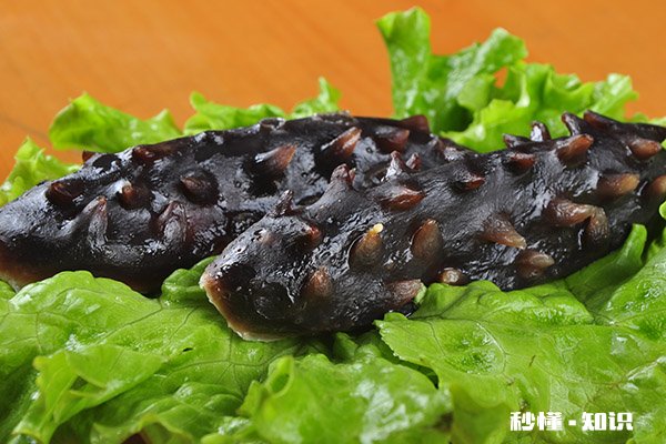 海参什么人不能吃 海参不适合哪些人吃