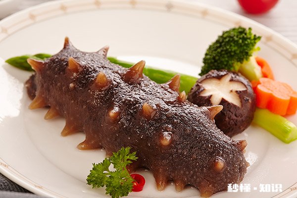 海参什么人不能吃 海参不适合哪些人吃