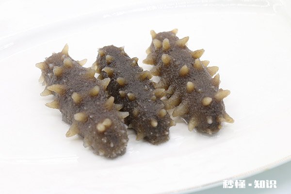 海参什么人不能吃 海参不适合哪些人吃