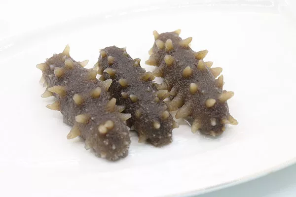 海参什么人不能吃 海参不适合哪些人吃