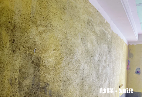 墙面拉毛用108胶还是用墙固 先拉毛还是先刷墙固