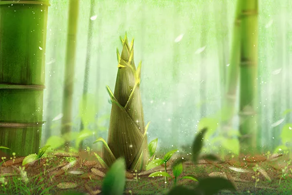 哪些人不能吃竹笋 竹笋的禁忌人群