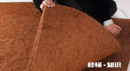 棕垫如何去味 为什么棕垫有一股很大的味道