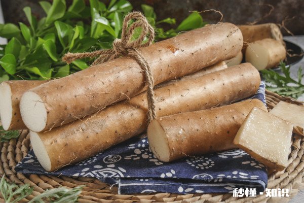 山药和鸡蛋能不能一起吃 山药不能和什么一起吃