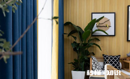 客厅和餐厅的窗帘要选一样的吗 餐厅需要窗帘吗