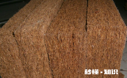 棕垫长虫子怎样消灭 棕垫夏天会不会生出好多虫子