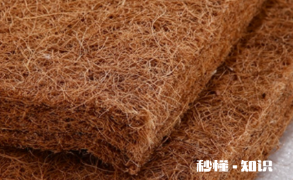 棕垫长虫子怎样消灭 棕垫夏天会不会生出好多虫子