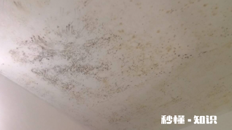 天花板发霉直接刮一遍腻子粉可以吗 天花板发霉怎么弄干净