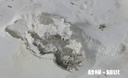 天花板发霉直接刮一遍腻子粉可以吗 天花板发霉怎么弄干净