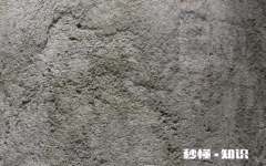 沙灰墙可以直接刮腻子吗 沙灰墙面可以直接涂料吗