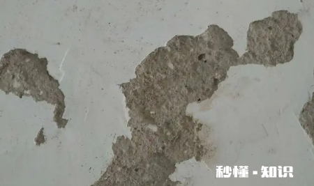 沙灰墙可以直接刮腻子吗 沙灰墙面可以直接涂料吗