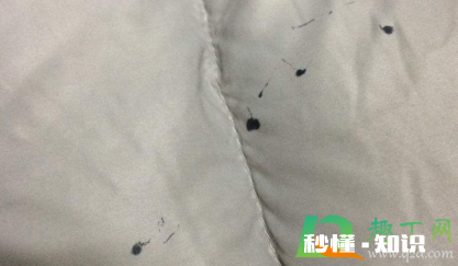 中性笔画衣服上怎么洗 衣服有中性笔墨水且放时间较长怎么洗掉