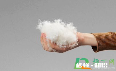 羽绒有鸭味道怎么去除 羽绒服有鸭毛味是不是说明质量差