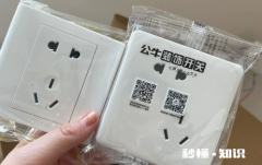 德力西开关插座和公牛的哪个好 德力西开关排名第几