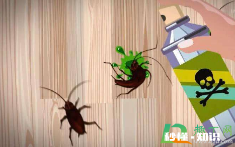 家里有蟑螂用什么拖地可以去除 用84拖地能驱赶蟑螂吗