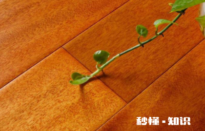 实木地板连接的地方产生缝隙了怎么办 木地板之间的缝隙怎么填