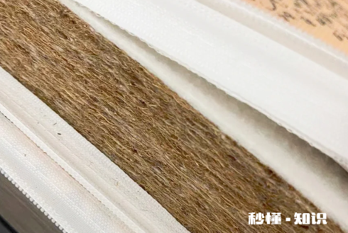 椰棕会不会生虫子 椰棕床垫是软的还是硬的