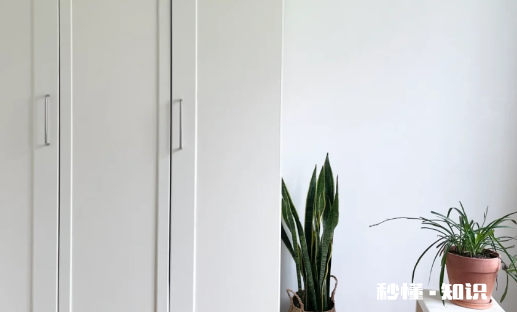 衣柜背板一般多厚 衣柜侧面见光板有必要做吗