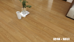 铺实木地板要放防虫剂吗 木地板一点不能沾水吗