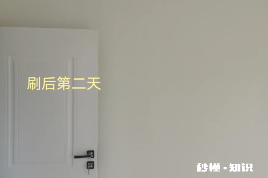 立邦珍珠白墙面漆效果图 立邦珍珠白翻车了怎么办